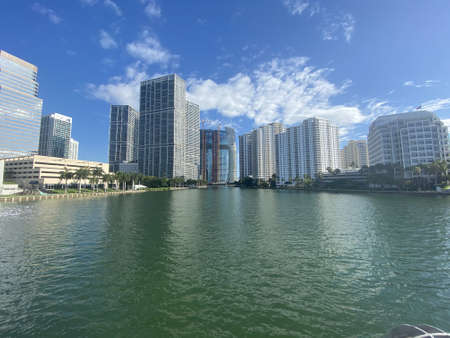 Skyscrapers and natureの写真素材