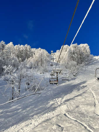 Frozen trees in the mountainsの写真素材