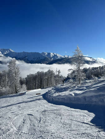 winter landscape in the mountainsの写真素材
