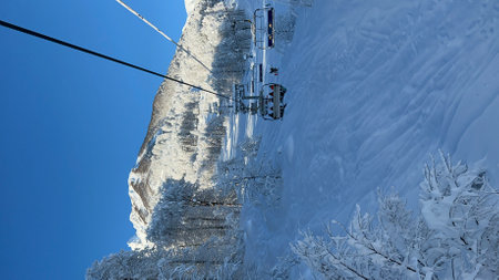 Frozen trees in the mountainsの写真素材
