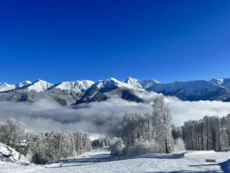 winter landscape in the mountainsの写真素材