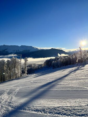 sunny day in the mountainsの写真素材