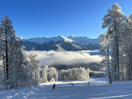 winter landscape in the mountainsの写真素材