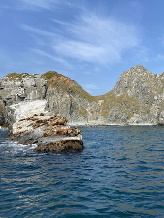 rocky coast of the sea and sea lionsの写真素材