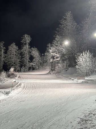 ski resort in the winter at nightの写真素材