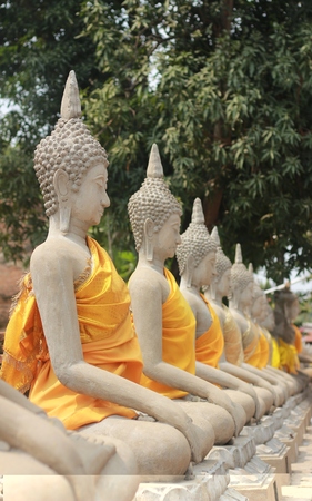 Buddha statue in Atuttaya of Thailand.の写真素材