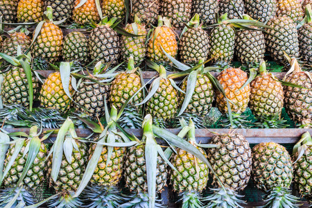 Pineapple fruitの写真素材