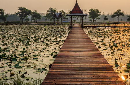 Floating bridge at lotus poolの写真素材