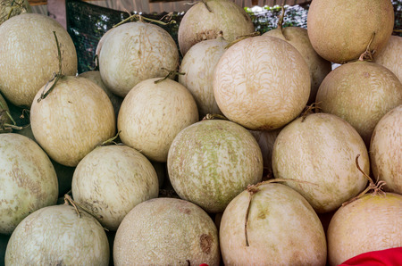 a small, round melon of a variety with orange flesh and ribbed skinの写真素材