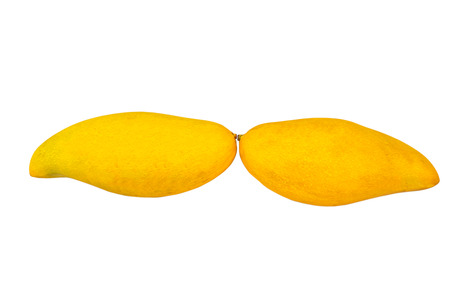 ripe mangoes isolated in white background with clipping pathの写真素材