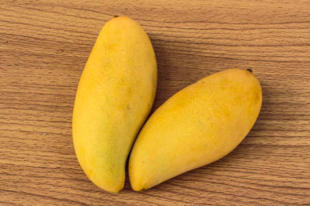 ripe mangoesの写真素材