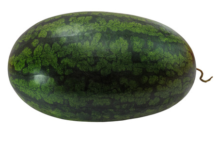 water melon isolate on white background with clipping pathの写真素材