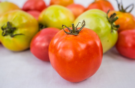 colorful tomatoesの写真素材