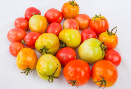 colorful tomatoesの写真素材