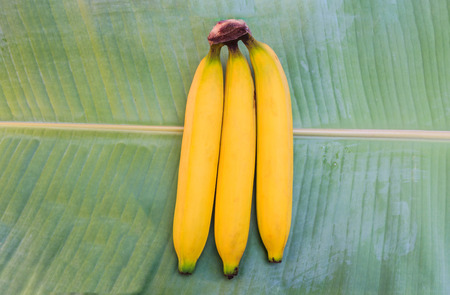 Ripe bananasの写真素材