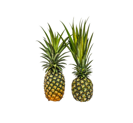 Pineapple isolated white background with clippingpathの写真素材