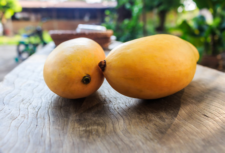 Ripe mango onwoodの写真素材