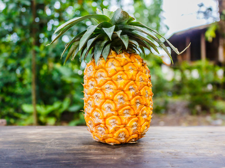 ripe pineapple  stock photoの写真素材