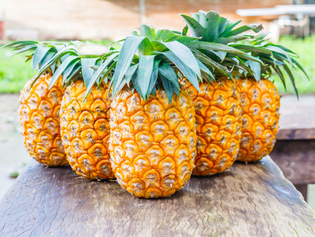 ripe pineapple  stock photoの写真素材