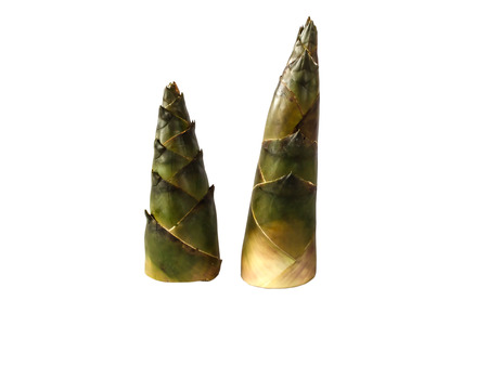 Bamboo shoots isolate white background with clipping pathの写真素材