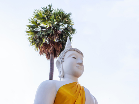White buddha statue in thailand templeの写真素材
