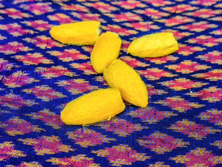 Close up silkworm cocoon on messaline stock photoの写真素材