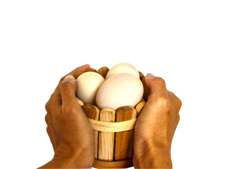 Duck eggs isolate on white backgroundの写真素材