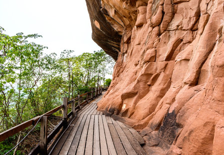 Wooden walkway on sandstone mountains at Phu thok temple  Sri Wilai district  Bueng Kan, Thailand.