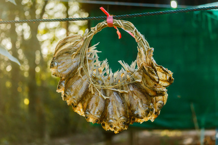 Dried fish drying rack on the market,thailandの写真素材