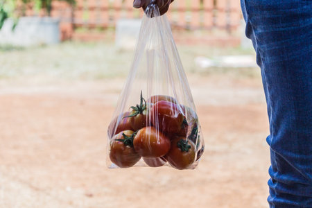 Hand carry bags of tomatoesの写真素材