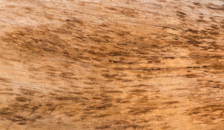 Wooden background  grunge wood boardの写真素材