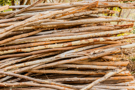 Many wood bracing. It is used in construction.の写真素材