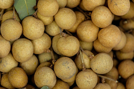 longan fruit from farmers to be marketed