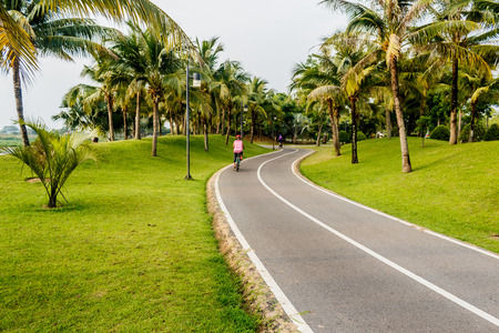 Road  bicycle in the coconut garden and natureの写真素材