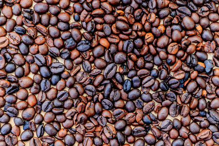 Brown roasted coffee beans (selective focus)の写真素材