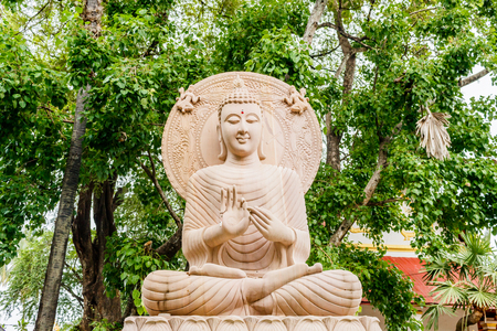 Buddha statue sitting under Bodhi treeの写真素材