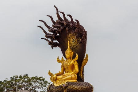 Thai style of Buddha with naga over his head in temple thailandの写真素材