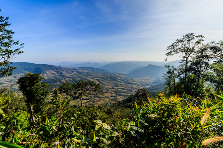 sunrise view of landscape at Tropical Mountain Range Phu Rua National Park Loei Thailandの写真素材