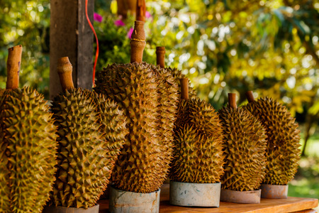 Tropic fruit durian on market table.の写真素材