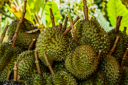 Tropic fruit durian on market table.の写真素材