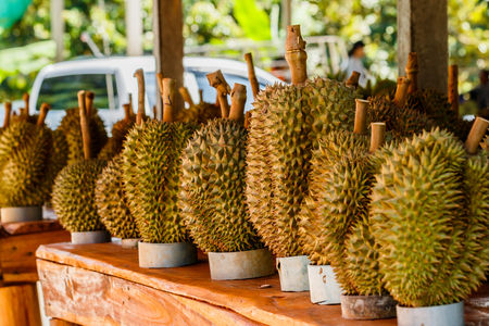 Tropic fruit durian on market table.の写真素材