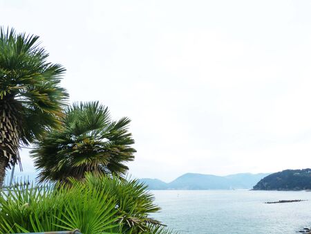 Italy, Liguria, Cinque Terre 1の写真素材