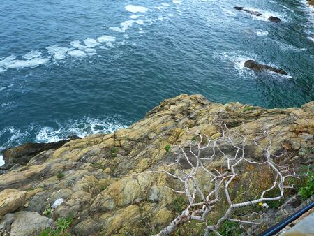Italy, Liguria, Cinque Terre 10の写真素材