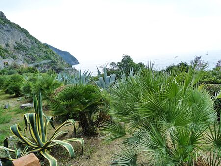 Italy, Liguria, Cinque Terre 6の写真素材