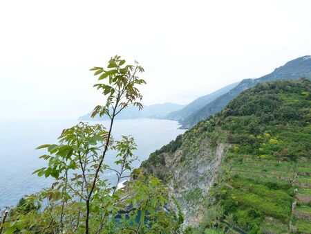 Italy, Liguria, Cinque Terre 13の写真素材