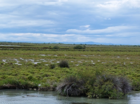 Lagoon in Camargue, Franceの写真素材