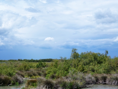 Lagoon in Camargue, Franceの写真素材