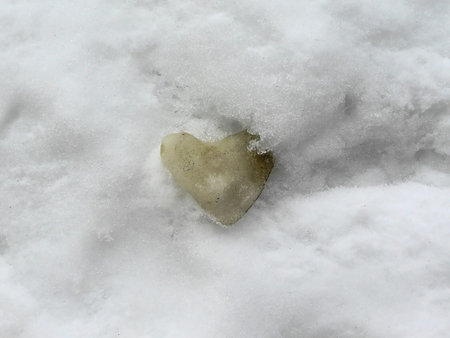 Heart of iceの写真素材
