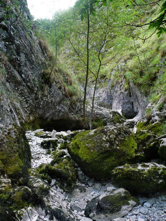 Stream in Lunigiana, Italyの写真素材
