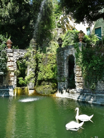 Pond in the park of Villa Garzoni, Collodi, Tuscany, Italyの写真素材